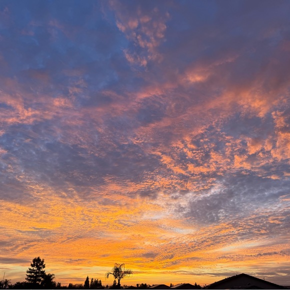 welcome to my closet, my name is makaylah 💐💫 - Picture 12 of 12